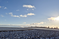 Monat Januar 2026: Bezaubernde Natur im Januar